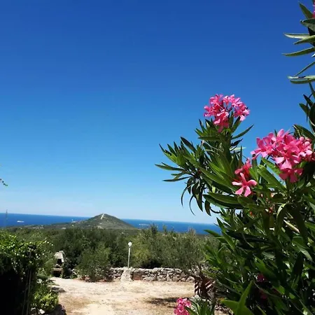Tonka Apartament Primošten