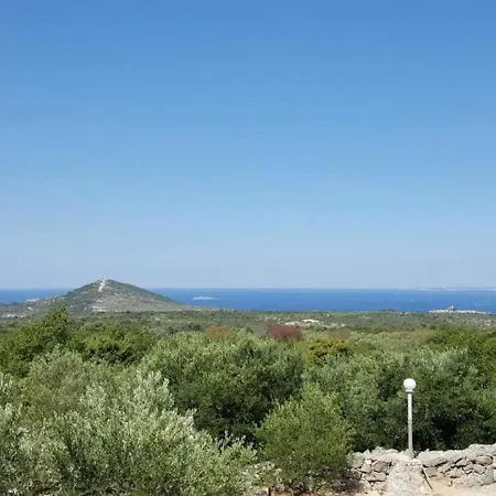 Tonka *